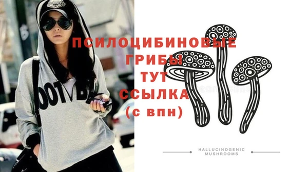 трава Саяногорск