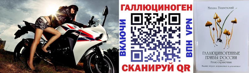 Купить  Калининград  Псилоцибиновые грибы мухоморы 